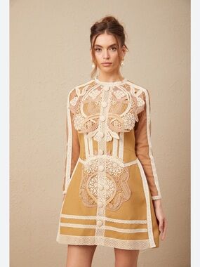 Sierra Darien Elegant Tan Ivory Lace Mini Dress Embroidered Button Up Front